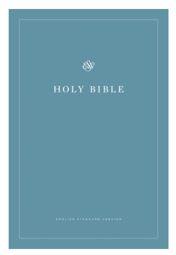 ESV Economy Bible – Teal Paperback